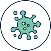 Bacteria
