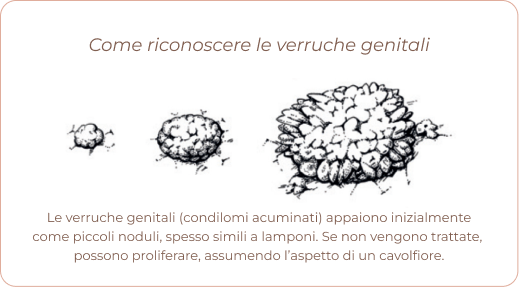 virus hpv